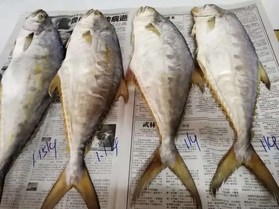 500g Fish Salted Diced Meat 咸鱼粒