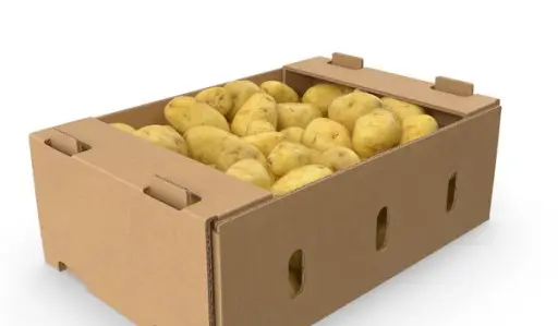 10kg Potato Holland 荷兰土豆