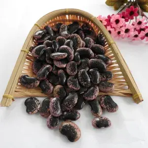 25kg Black Bean 9.0MM 青仁乌豆（特大类）