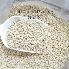1kg Holland Barley 洋意米