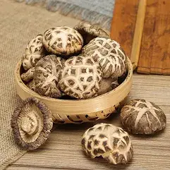 [DryMushrm.PkFd_004] 1kg Tea Flower Mushroom 茶花菇