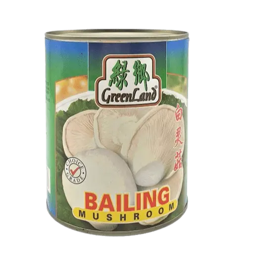[CanVege.CanFd_068] 850g Bailing Mushroom 百灵菇