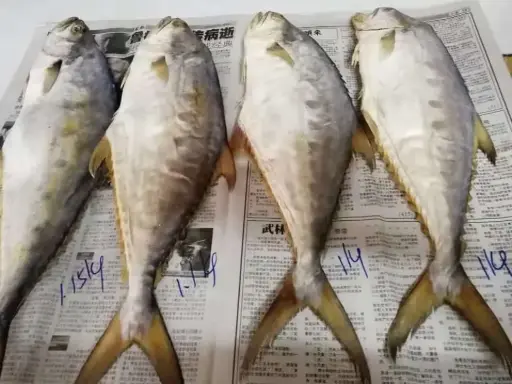 [DrySeaFood.PkFd_018] 1kg Sampan Salted Fish 咸鱼