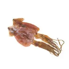 [DrySeaFood.PkFd_005] 10kg Dried Sotong 大鱿鱼乾