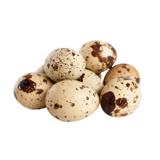 [Eggs.OthFd_009] Quail Eggs 鹌鹑蛋