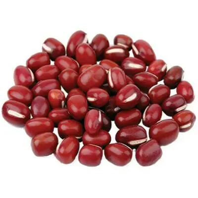 [Beans.PkFd_016] 25kg TianJin Large Red Bean 天津红豆(大)